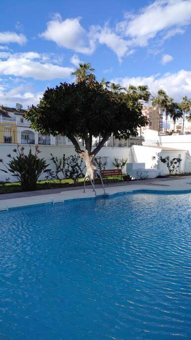 טורה דל מאר Precioso Apartamento Frente A La Playa מראה חיצוני תמונה